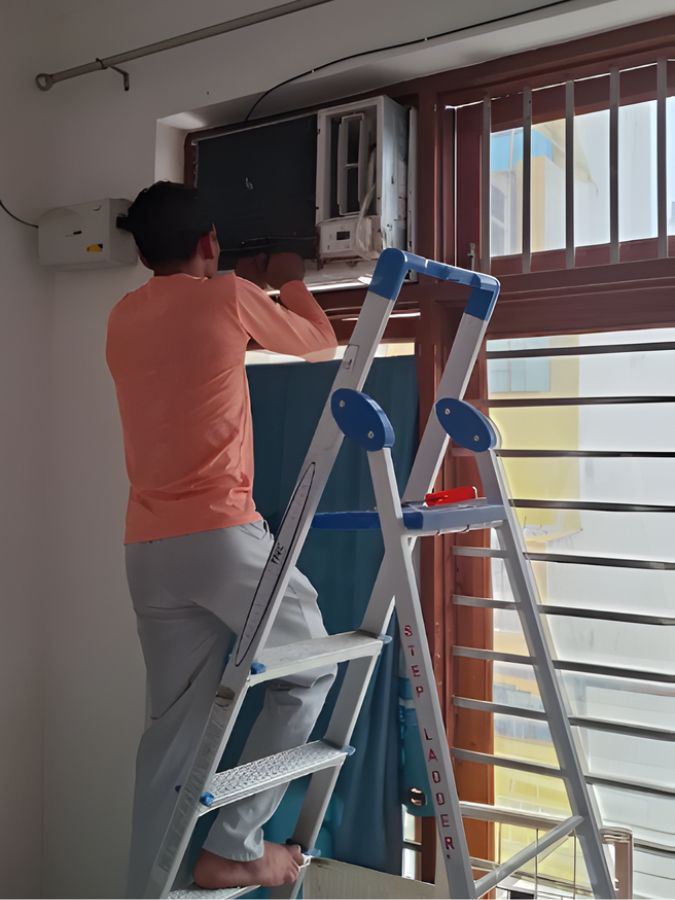 Untitled design (51)